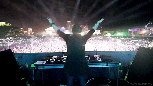 The EDM Scene