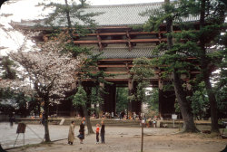 gameraboy:  Japan, 1960. Kodachrome slides scanned by Electrospark. 