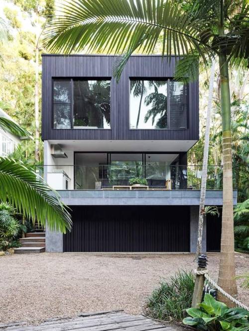 Edge of the Rainforest - Noosa house by Mim Design © Andrew Richey 