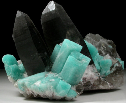 earthshaped:Smoky Quartz and Microcline var. AmazoniteSmoky Hawk Mine, Jewel Pocket, Florissant, Tel
