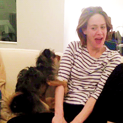 jmcrrison:  Sarah being humped by ‘Luther’ 