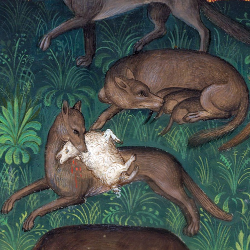 discardingimages: wolves Gaston Phoebus, Le Livre de la chasse, Paris ca. 1407 NY, Morgan, MS M. 104