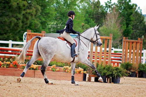 Throwback to Summer in the Rockies at the Colorado Horse Park last year.© Ceara Rahne Photograp