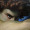 Vejo essas fotos desse povo bonito do tumblr e me olho no espelho da até uma dor no coração 
