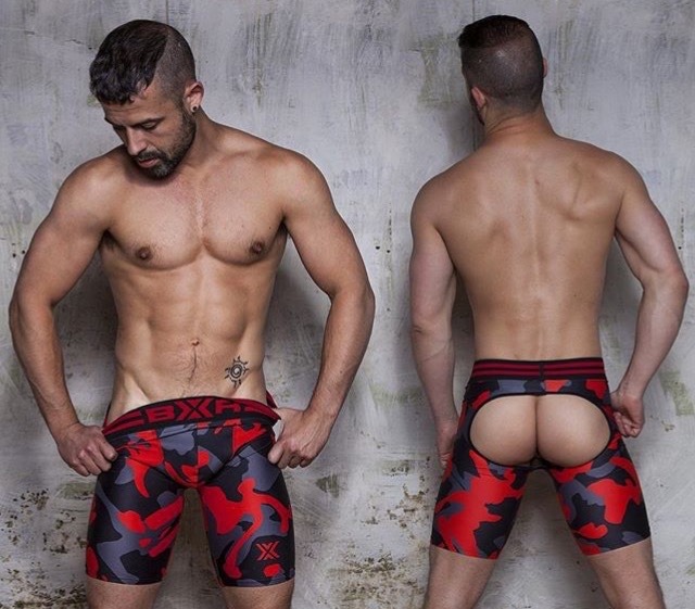 Dedicated Follower of Bulges