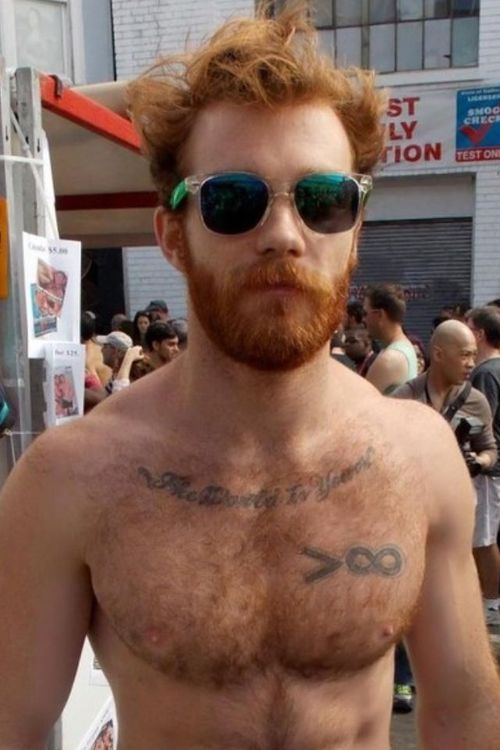 XXX hairy-chests:  @hairychestsx     http://hairy-chests.tumblr.com photo