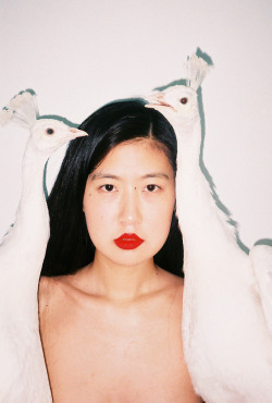 hatchetandtom:Ren Hang - http://renhang.org