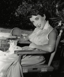 hoodoothatvoodoo:  Elizabeth Taylor 1953