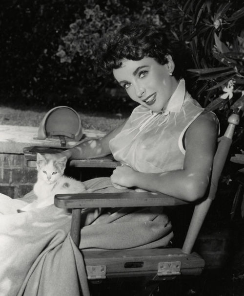 hoodoothatvoodoo:  Elizabeth Taylor 1953 porn pictures