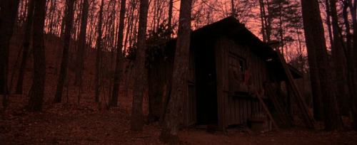 hornyhouseofhorror: Cabin Fever - Eli Roth 2002