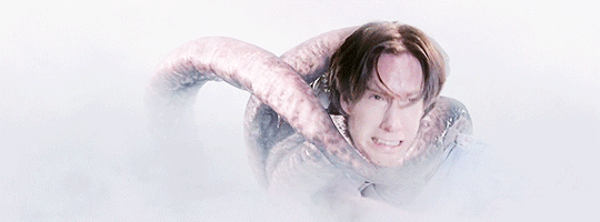 classichorrorblog:    The MistDirected by Frank Darabont (2007)   