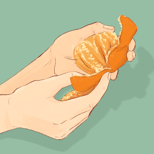 wait-for-october:Warm up doodle - my old mentor used to peel oranges to share with me whenever we we