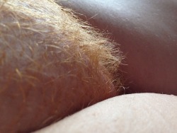 jmat84:  Some of my ginger for you :-). Loving the comments guys….keeping me hot n horny!