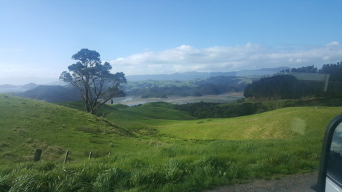 New Zealand is spectacular. My partner and I hiked around Mt Doom, swam in countless hot springs and