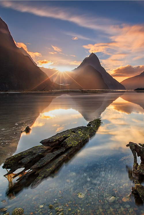 lovenaturewildlife:  Sunsets: Breathtaking Nature Milford Wild Sunsetby Soniel Dalumpines