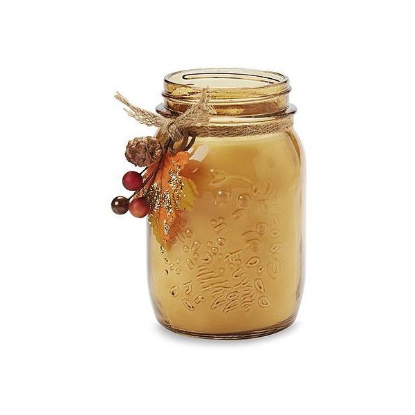 Raven — Sandra by Sandra Lee Thanksgiving Jar Candle