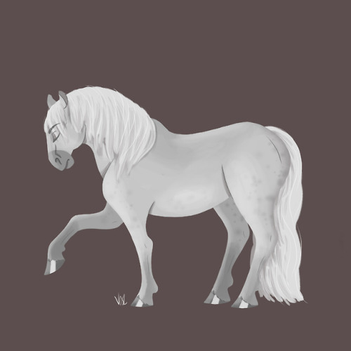Horse races for Cavaland during my internship there Part2 (Part1)