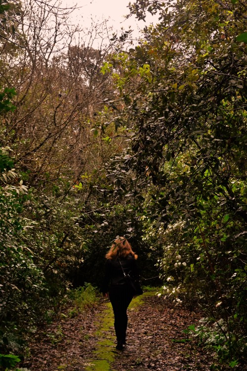 Porn  Promenade plantée  Pathway photos