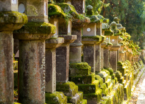 The infinite beauty of Nara