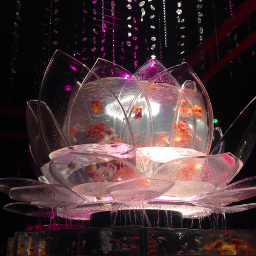 right-tokyo: Art Aquarium 2015