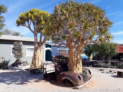 Namibia 2023/24 - Tag 11
