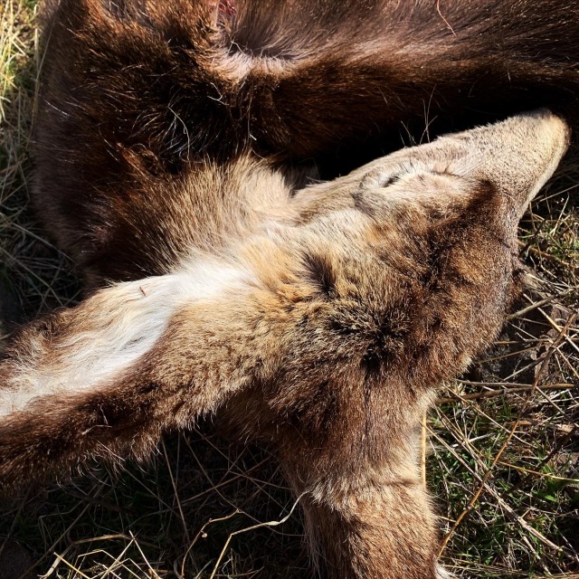 Porn wildernesswanderess:Nature is cruel but also photos