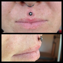 joshverdi:  14g philtrum with #anatometal flower! @nomadbodypiercing #nomadsf 