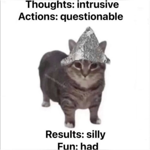 Marvel Characters As Cat Memes:
