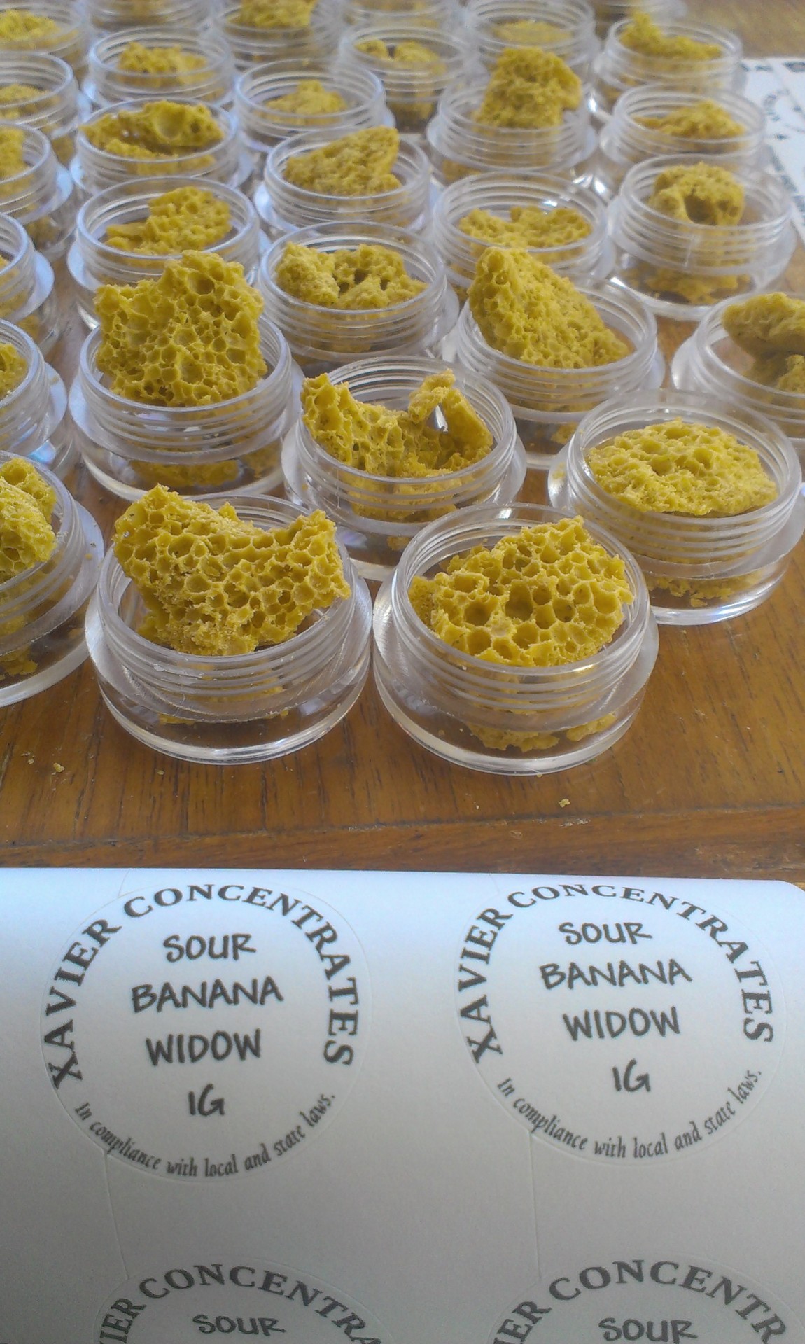 xavierconcentrates:  straight from the hive 