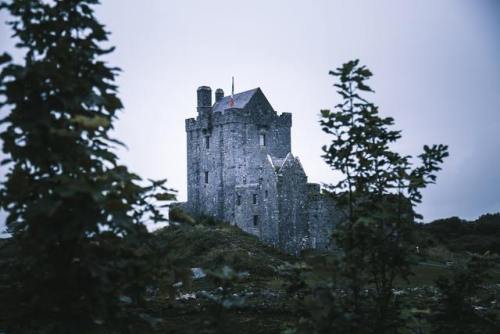 virtuallyinsane:Dunguaire Castle, Kinvara, Ireland by Kevin Bosc 