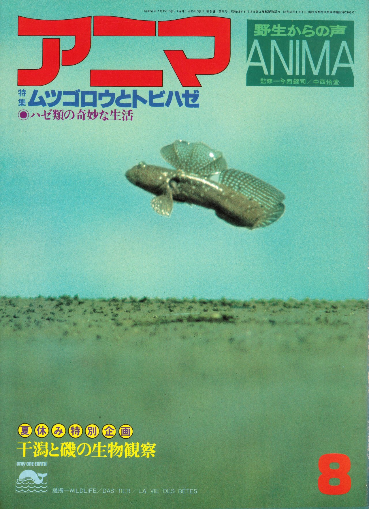 ムツゴロウ Explore Tumblr Posts And Blogs Tumgir ムツゴロウ Explore Tumblr Posts And Blogs Tumgir