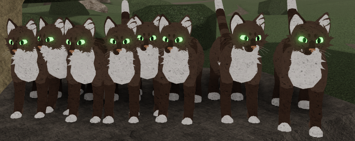 Wcrp Roblox Tumblr Blog Tumgir - warrior cats forest territory roblox discord