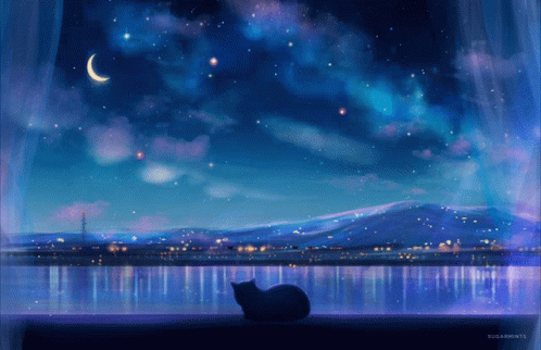 night sky cat