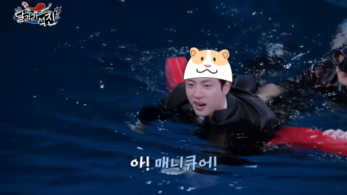 How Come The Hamster Cap Appeared Every Time Seokjin Fell Into Water (but This Only Happened To Seokjin)