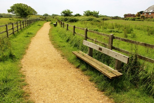 jimpatersonphotography:The month so far - Dorset, June 2015.©  Jim Paterson - All rights reserved.