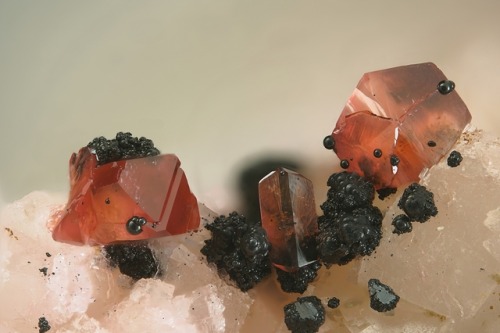 underthescopemineral:  Wendwilsonite  Ca2Mg(AsO4)2·2H2OLocality:Bou Azer District (Bou Azzer District), Tazenakht, Ouarzazate Province, Drâa-Tafilalet Region, Morocco    Field of View: 2.5 mm  Collection and photo Stephan WolfsriedWendwilsonite is