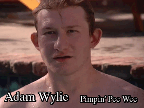 el-mago-de-guapos:  Adam Wylie Pimpin’ Pee Wee 