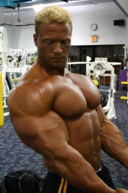 Art of Male Bodybuilders