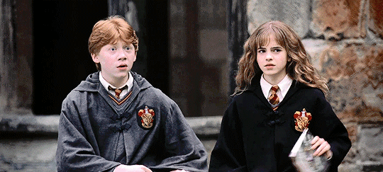 siriusblcck:  Uh-oh. I smell trouble.