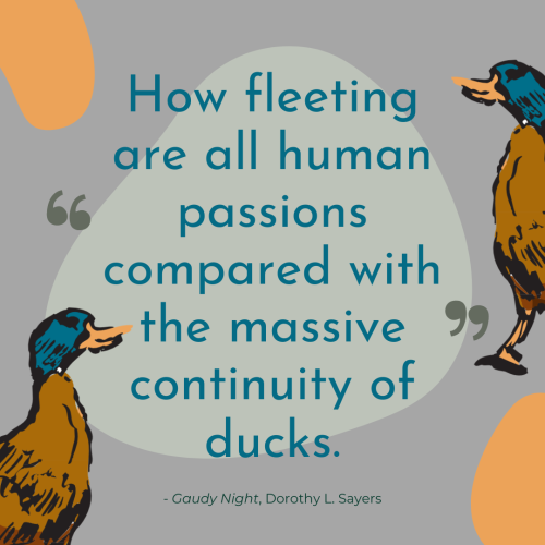 the massive continuity of ducks