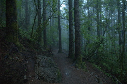 12snakes: When you’re lost in the rain … by Mark Griffith on Flickr.