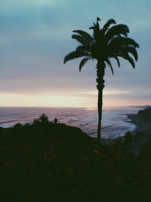 beachaholic-wilson.tumblr.com/post/134525198021/