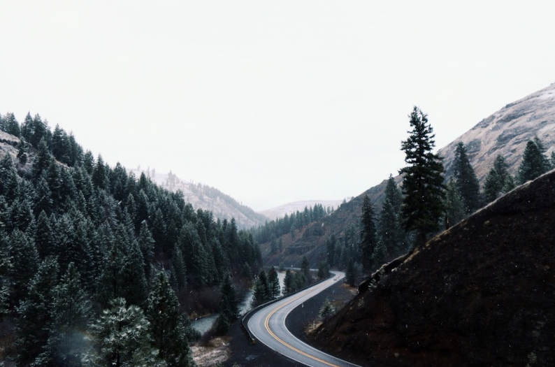 deletingmyself: (by Griffin Lamb) Website | Society6 (Prints) | Tumblr | Instagram