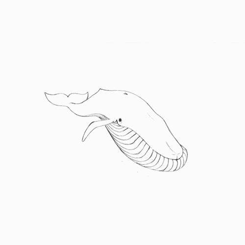 Je N’aurais Pas été Fidèle à Moi Même Si Je N’avais Pas Fait Une Baleine.