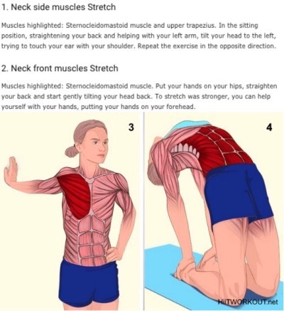 taichi-kungfu-online:  18 pictures that show you exactly what muscles you are stretching