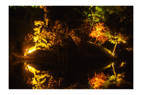 ryojapaniphoto