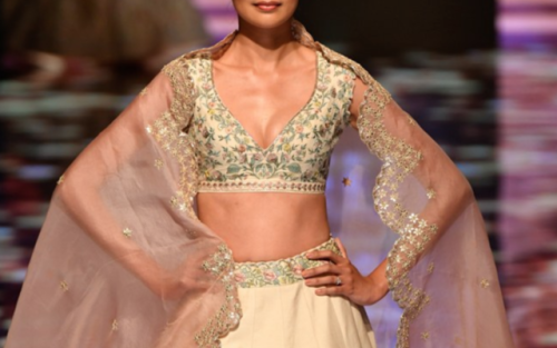 anushree reddy || lakme fashion week 2019