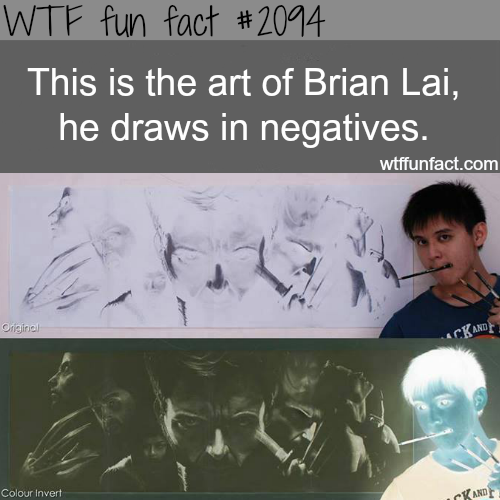 wtf-fun-factss:  Brian Lai art, Negatives drawing - WTF fun facts 