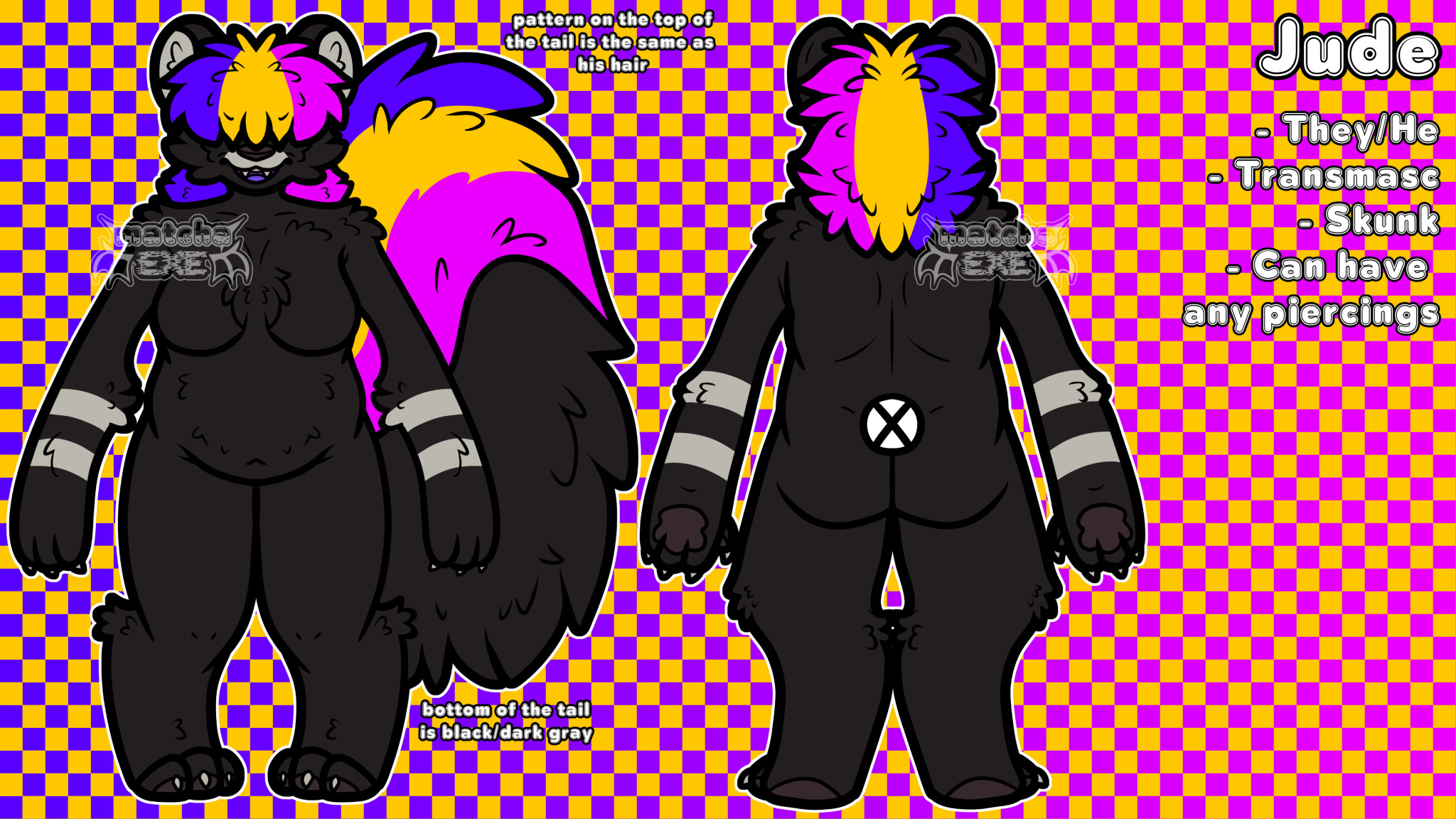 A reference image of Jude the skunk.