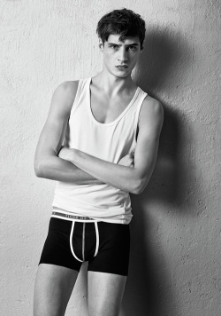 adriensahoress:  Adrien Sahores for Tiger